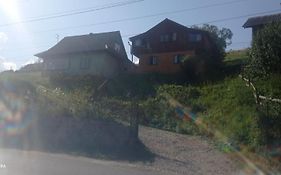 у Дарини